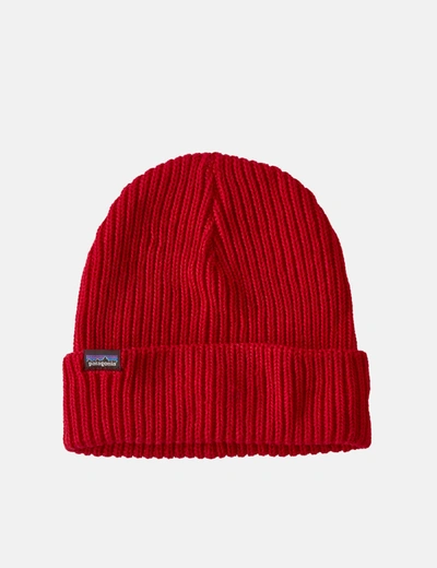 Shop Patagonia Fishermans Rolled Beanie Hat In Red