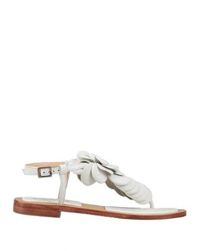 Shop Baldinini Woman Thong Sandal White Size 7 Leather
