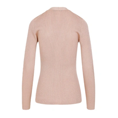 Shop Fabiana Filippi Sweater In Vr2