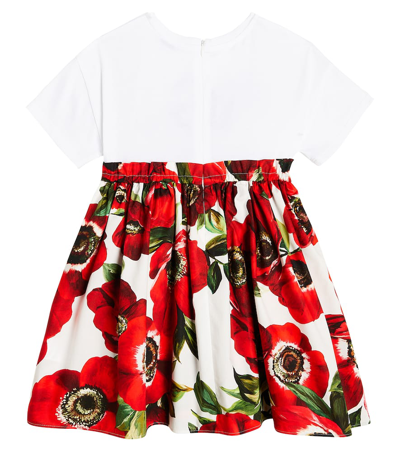 Shop Dolce & Gabbana Anemone Jersey And Poplin Dress In Multicoloured