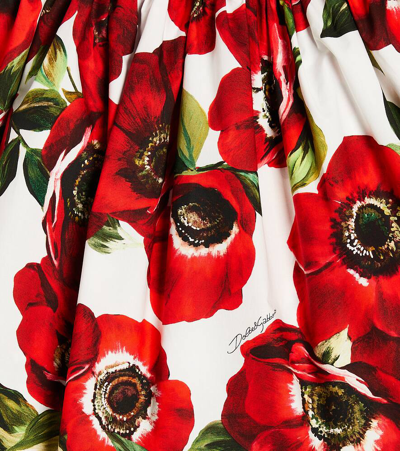 Dolce & Gabbana Anemone Jersey And Poplin Dress In Multicoloured