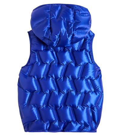Shop Burberry Quilted Down Vest In Blue