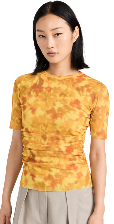 Shop Acne Studios Eleta Blurry Daisy T-shirt Yellow Multi