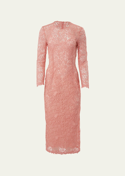 Shop Carolina Herrera Lace Crewneck Midi Dress In Blush