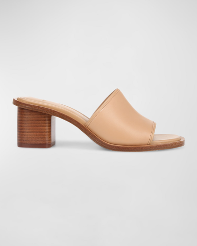 Shop Vince Donna Leather Mule Sandals In Catalina Blush Be
