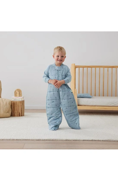 Ergopouch 3.5 Tog Organic Cotton Wearable Blanket In Dragonflies