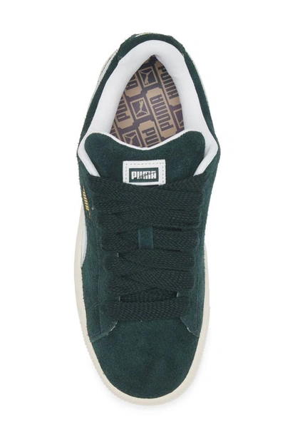 Shop Puma Suede Xl Hairy Sneaker In Ponderosa Pine-frosted Ivory