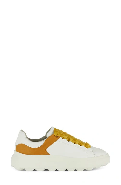 Shop Geox Spherica Sneaker In White/ Cognac
