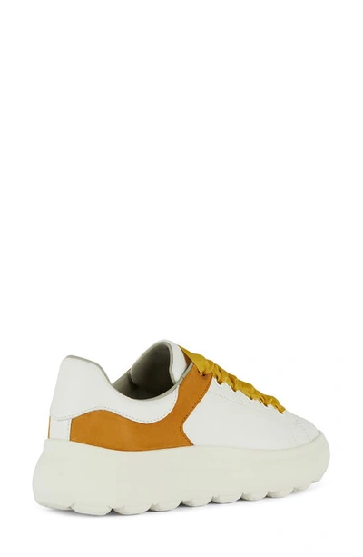 Shop Geox Spherica Sneaker In White/ Cognac