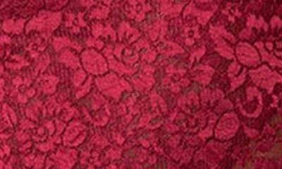 Shop Edikted Ruby Sheer Lace Crop Camisole In Burgundy