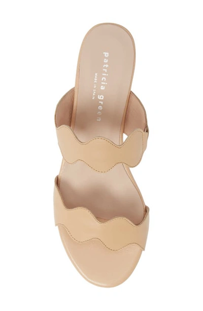 Shop Patricia Green Palm Beach Slide Sandal In Beige