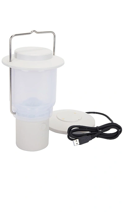 提灯 – 象牙白