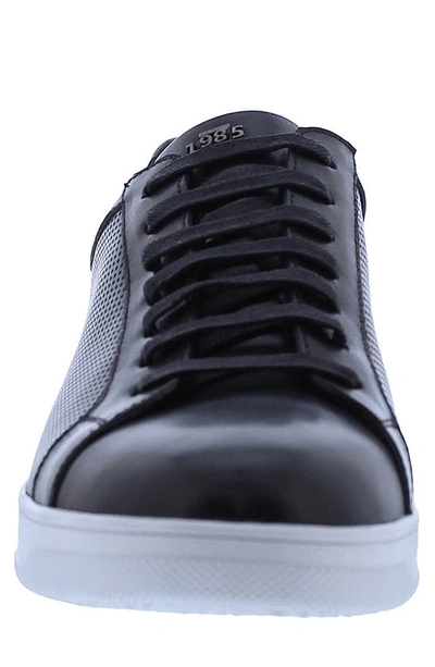 Shop Zanzara Havana Perforated Leather Sneaker In Black