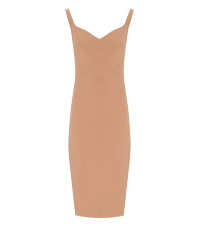 Shop Elisabetta Franchi Nude Sheath Dress In Brown