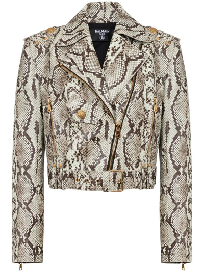 Shop Balmain Cropped Python Belted Leather Biker Jacket In Grey