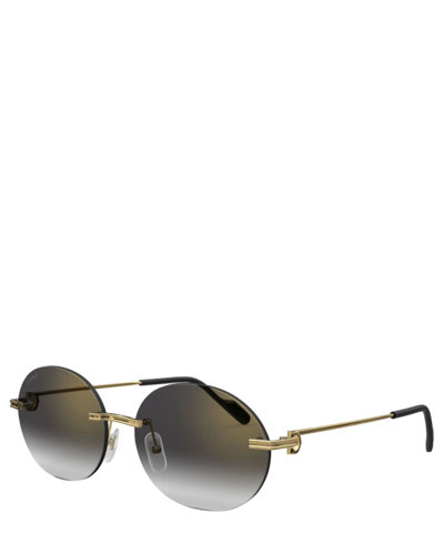 Shop Cartier Sunglasses Ct0011cs In Crl