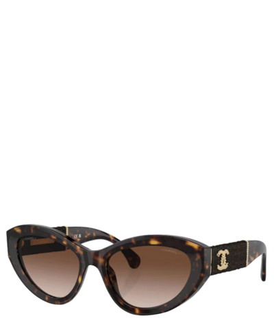 Shop Chanel Sunglasses 5513 Sole In Crl