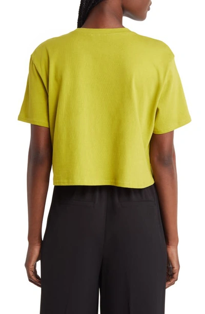 Open Edit Boxy Crop T-shirt In Olive Seed