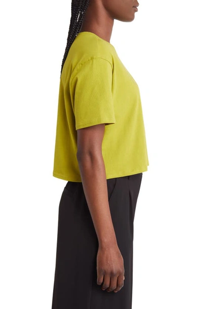 Open Edit Boxy Crop T-shirt In Olive Seed