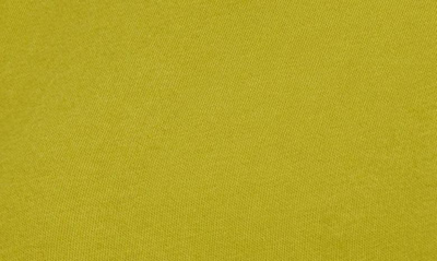 Open Edit Boxy Crop T-shirt In Olive Seed