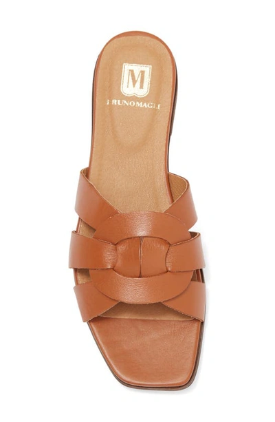 Shop Bruno Magli Alessia Sandal In Cognac