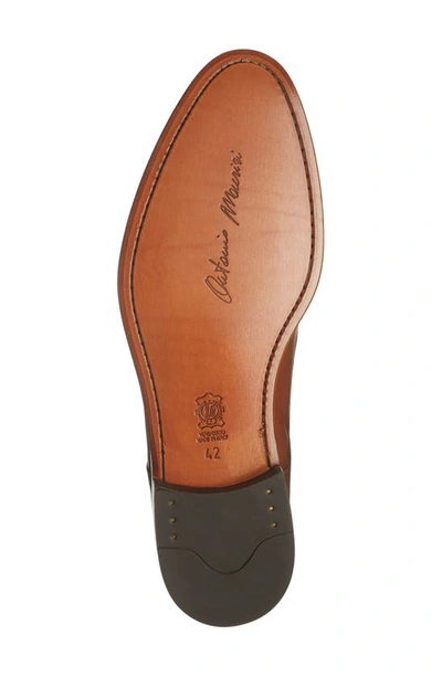 Shop Antonio Maurizi Brogued Cap Toe Derby In Cognac