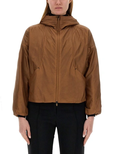 Herno Laminar Woman Jacket Brown Size 8 Polyester In Brown
