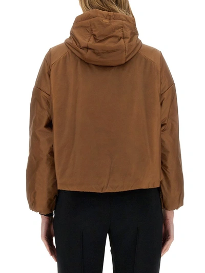 Herno Laminar Woman Jacket Brown Size 8 Polyester In Brown