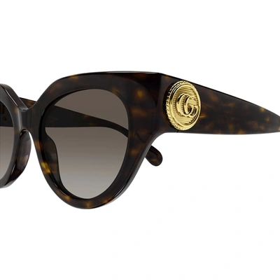 Shop Gucci Eyewear Sunglasses In Havana