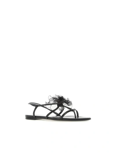 Shop Nensi Dojaka Sandals In Black