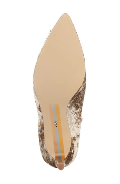 Shop Sam Edelman Ulissa Luster Imitation Pearl Pointed Toe Bootie In Prosecco