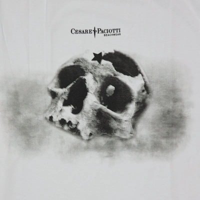 Shop Paciotti Cesare Cotton T Shirt