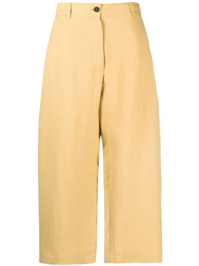 Studio Nicholson High Waist Wide Leg Cropped Cotton Trousers In Beige