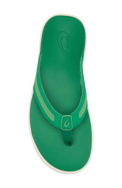 Shop Olukai Leeward Flip Flop In Bamboo / Bamboo