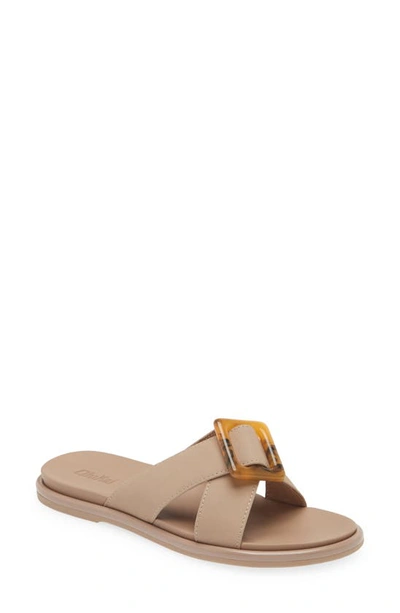 Shop Olukai La'i Slide Sandal In Taupe / Taupe