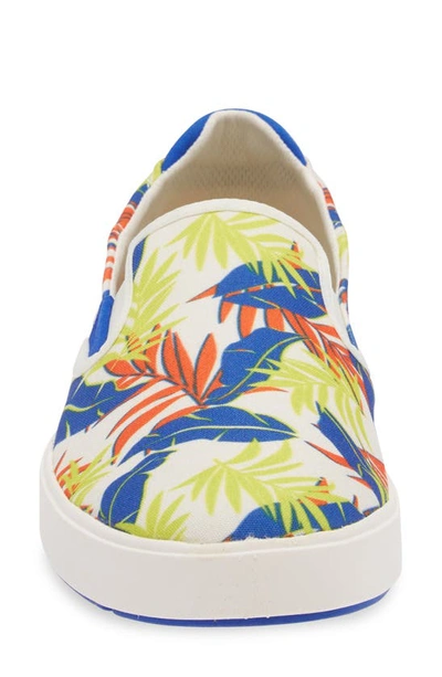 Shop Olukai Lae'ahi Pa'i Slip-on Sneaker In Off White / Aloha
