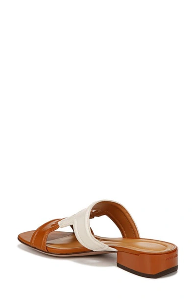 Shop Sarto By Franco Sarto Marina Slide Sandal In Tan