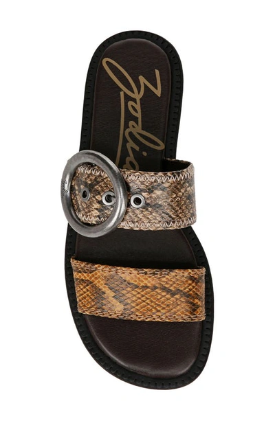 Shop Zodiac Frida Slide Sandal In Brown Snake Print Faux Leather