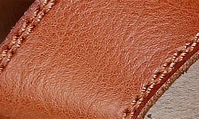 Shop Zodiac Frida Slide Sandal In Brown Faux Leather