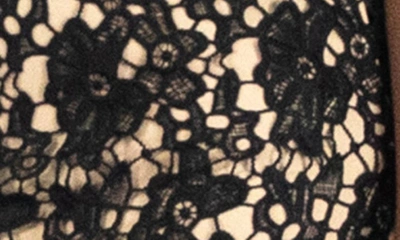 Nina Leonard Sleeveless Lace Dress In Black