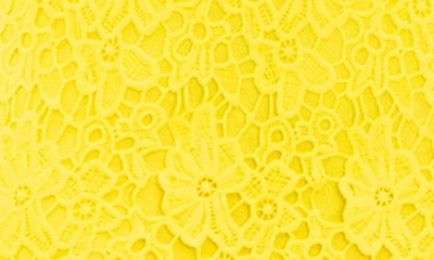 Nina Leonard Sleeveless Lace Dress In Canary