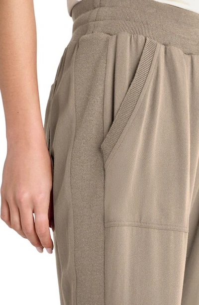 Shop Splendid Rafe Straight Leg Drawstring Pants In Camel