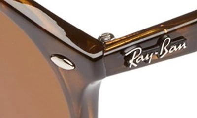 Ray Ban Highstreet 51mm Round Sunglasses - Dark Havana In Dark Havana