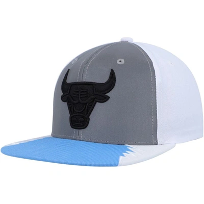 Shop Mitchell & Ness Silver/blue Chicago Bulls Day 5 Snapback Hat