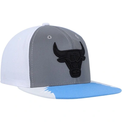Shop Mitchell & Ness Silver/blue Chicago Bulls Day 5 Snapback Hat