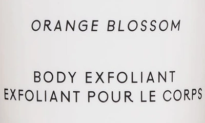Shop Lake & Skye Orange Blossom Body Exfoliant
