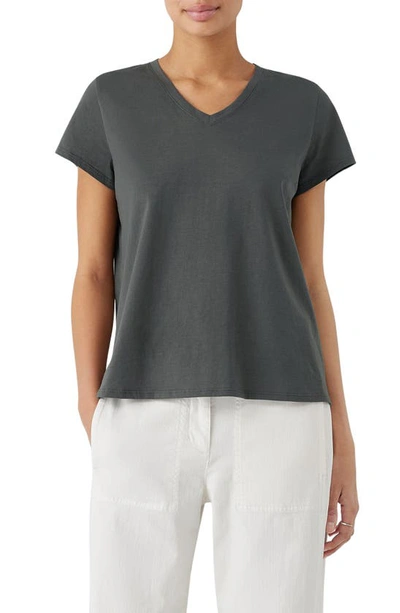 Shop Eileen Fisher Organic Cotton V-neck T-shirt In Grove