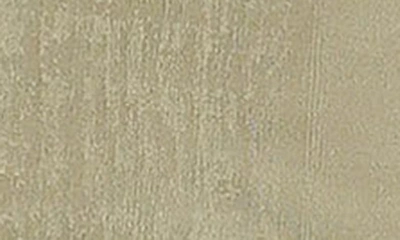 Petal And Pup Womens Diani Dress In Olive