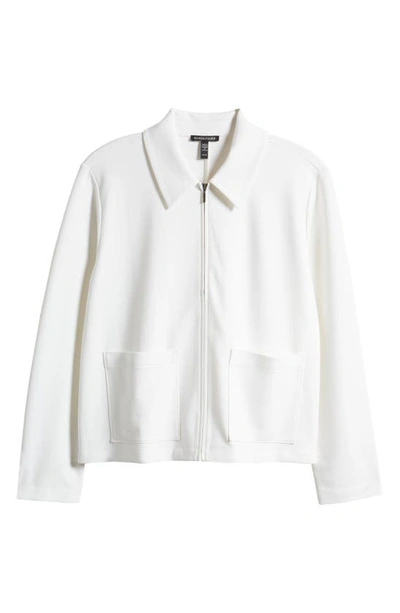 Shop Eileen Fisher Classic Point Collar Zip-up Ponte Jacket In Ivory
