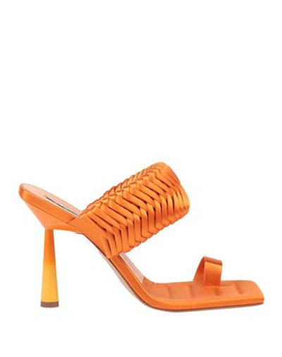 Shop Gia Rhw Gia / Rhw Woman Thong Sandal Orange Size 11 Textile Fibers